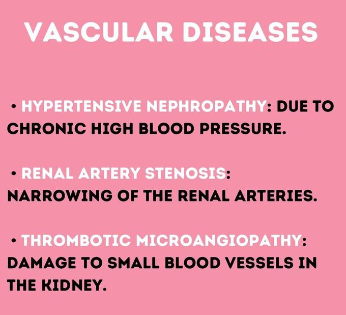 Vascular Diseases