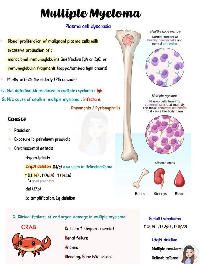 Multiple Myeloma I