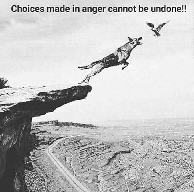 True fact