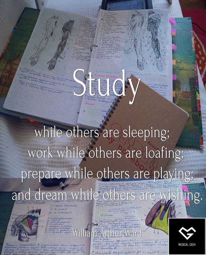 FOCUS On Studying. I Know It’s Hard But Believe Me, It’s - MEDizzy