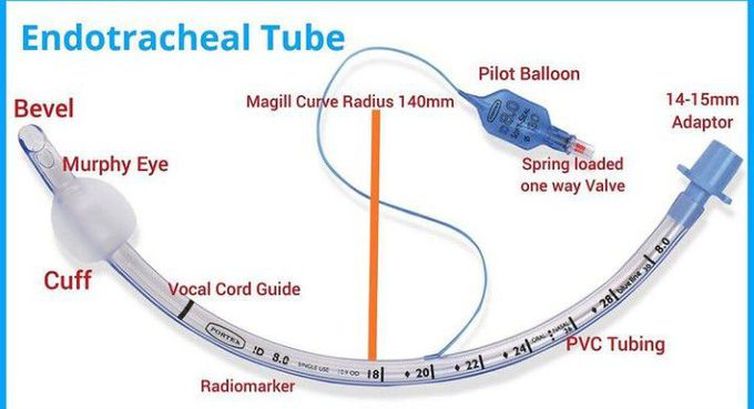 Parts of Endotracheal tube