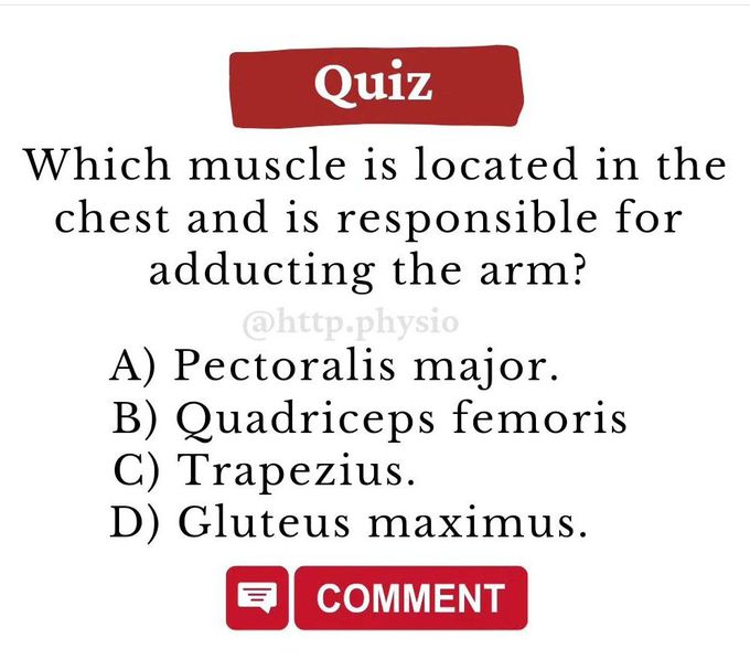 Identify the Muscle