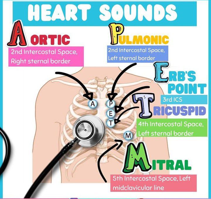 Heart Sounds - MEDizzy