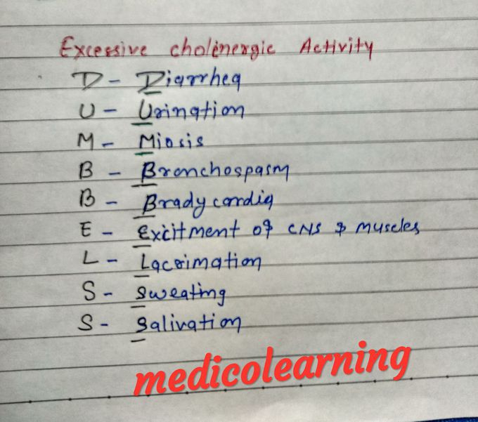 Cholinergic