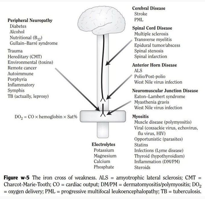 Weakness- dd framework