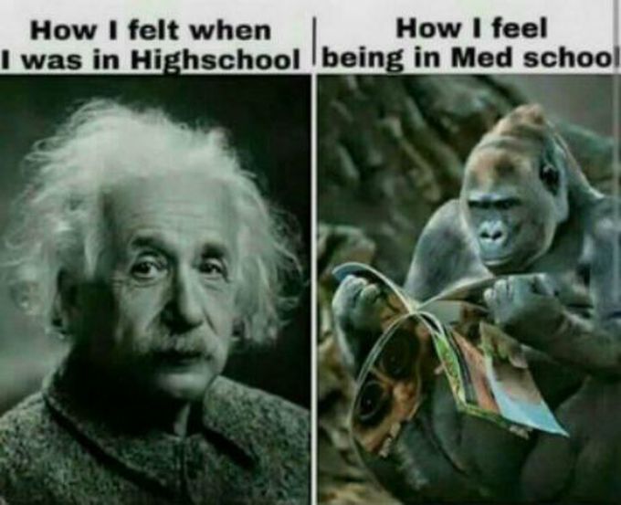 Medical school