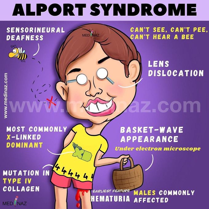 Alport syndrome