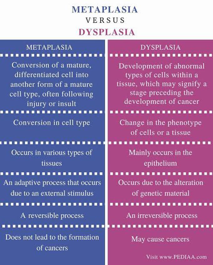 Metaplasia vs dyplasia