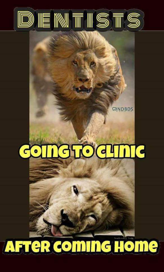 DentistLife :)