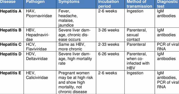Features of different types of Viral Hepatitis