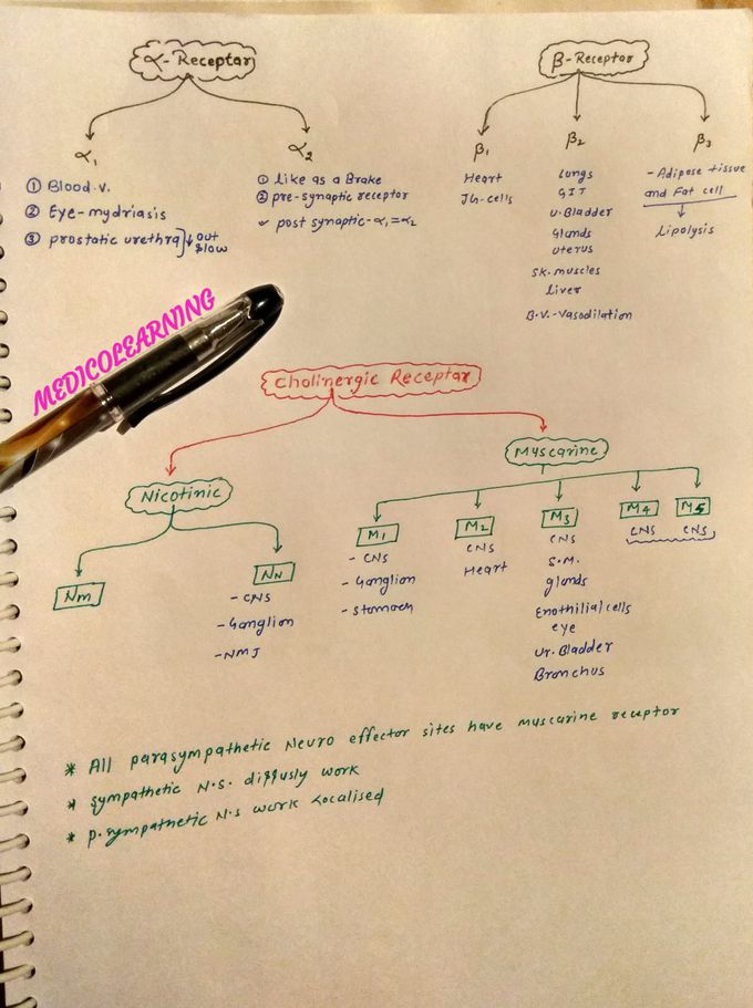 Receptors
