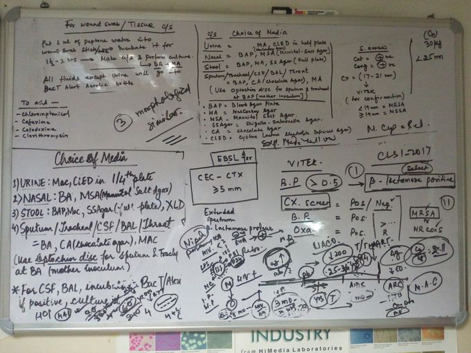 Basic information   to work in clinical microbiology laboratory