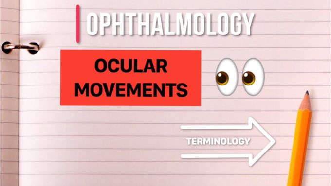 Eye movement terminology SIMPLIFIED
