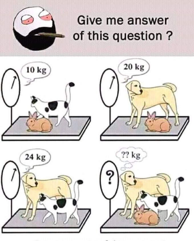 Give me answer ....
