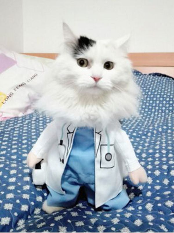 ����� ����� � �������, ����� ������� ������ ������