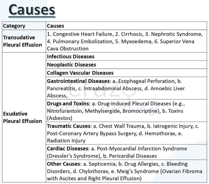 Pleural Effusion III