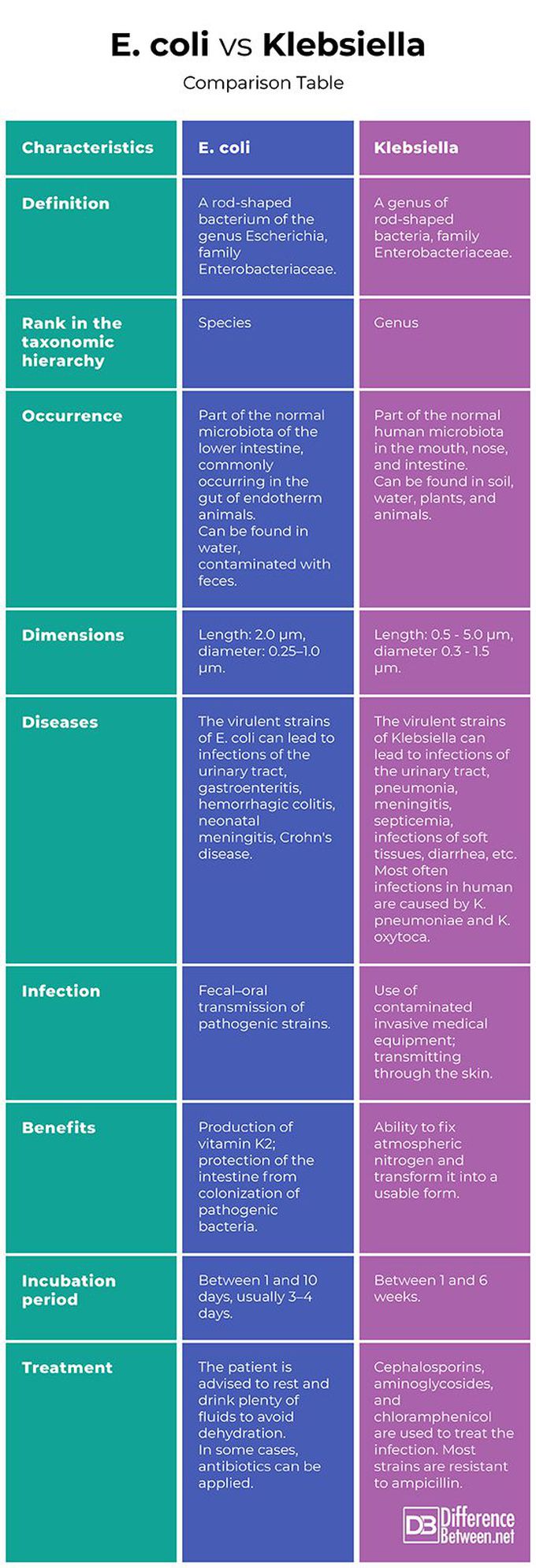 E.coli vs klebsiella