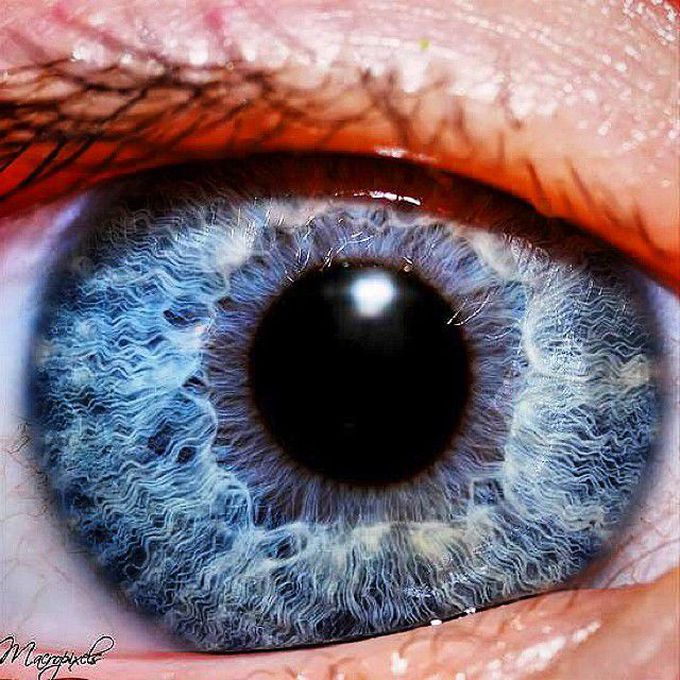 The beauty of the human eye