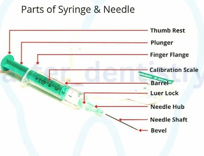 Parts of Syringe and Needle