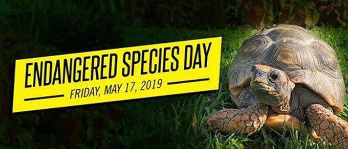 Endangered Species Day