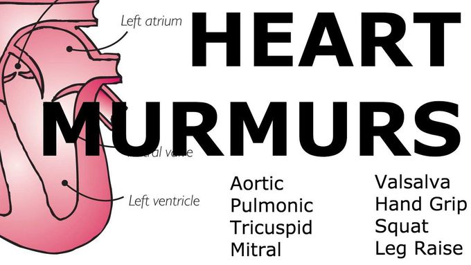 Heart Murmurs | Locations, Maneuvers, Buzzwords