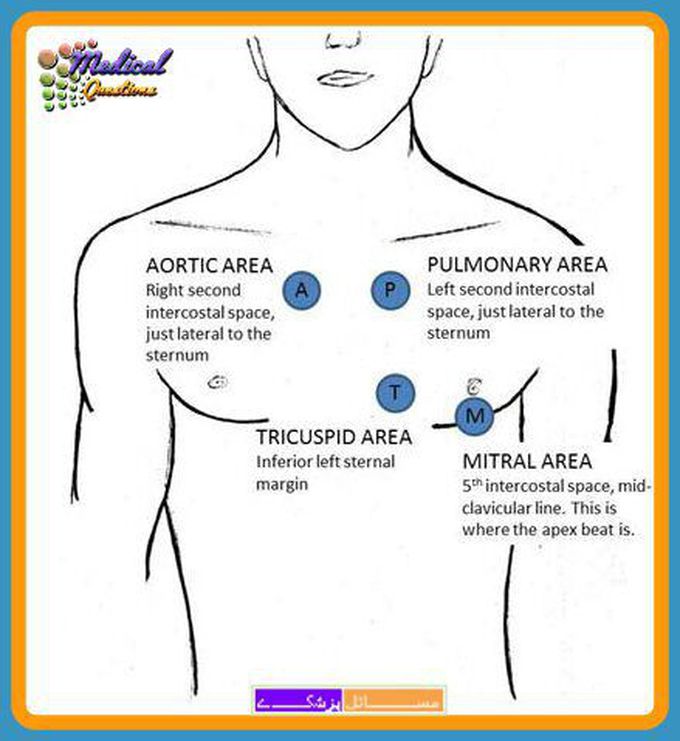 The different position of Stethoscope MEDizzy