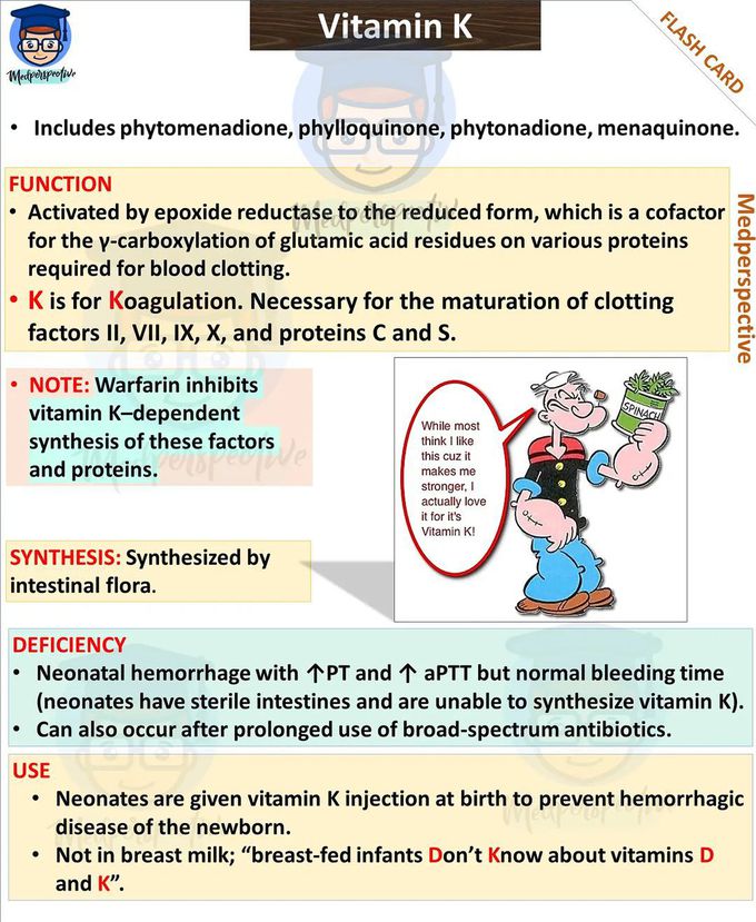 Functions of vitamin K