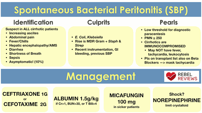 Spontaneous bacterial Peritonitis
