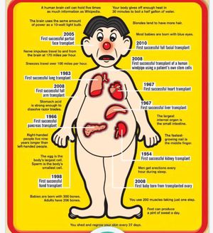 Human body organ transplant timeline - MEDizzy