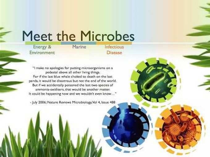 Microbes