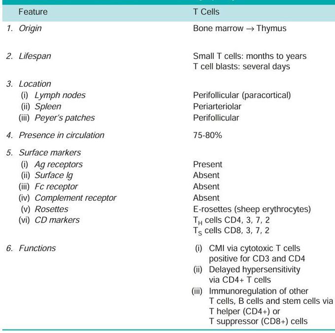 Lymphocytes