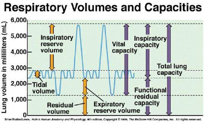 Respiratory volumes and capacities