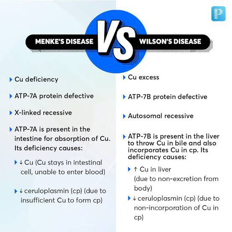 ghk-cu contraindicated wilson's disease contraindication Wilson Disease: Symptoms & Causes GHK-Cu and Reproductive Health: Mechanisms,  ghk-cu contraindication wilson's disease A