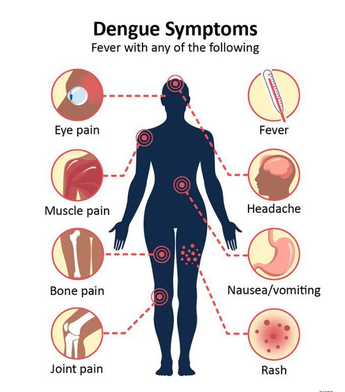 Dengue