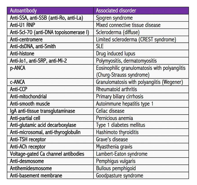 Antibodies