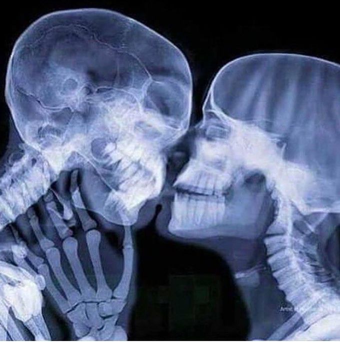 Find out which 1 is male / female?