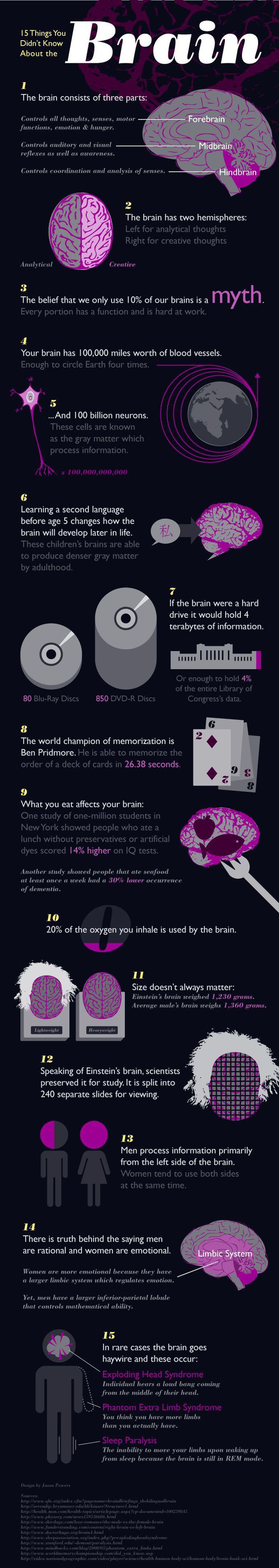 Brain