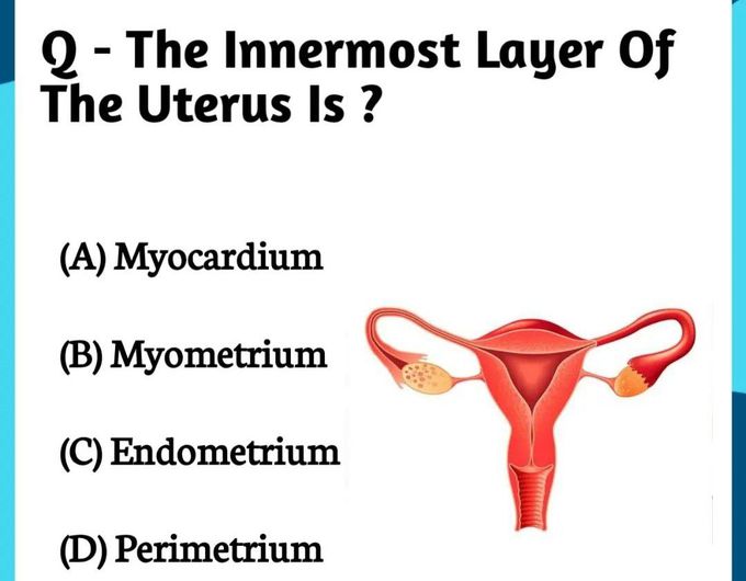 Uterus