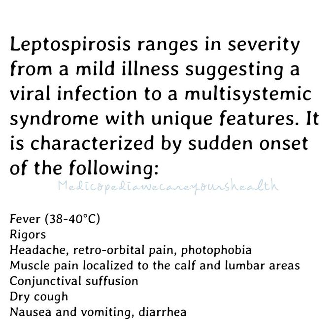 Leptospirosis sign & symptoms