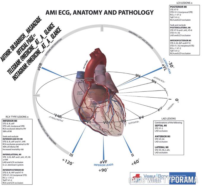 Ecg,dr hasan zade