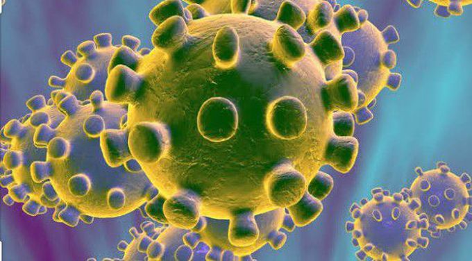 COVID19(coronavirus disease 2019)