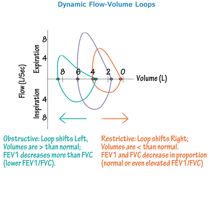 Flow-Volume Loops