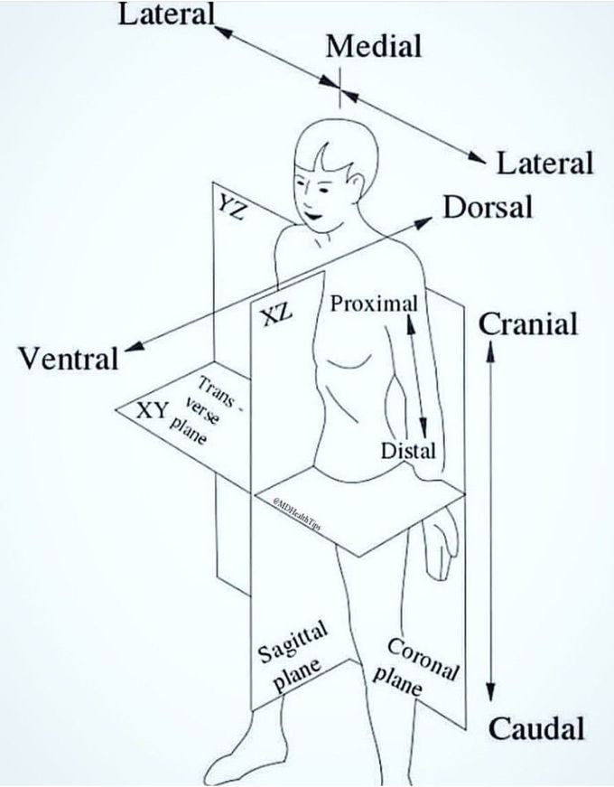 Plane in medicine ⏩⏪