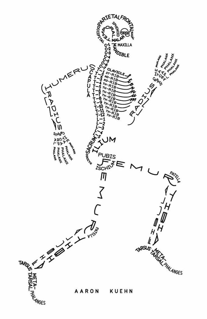 Bones