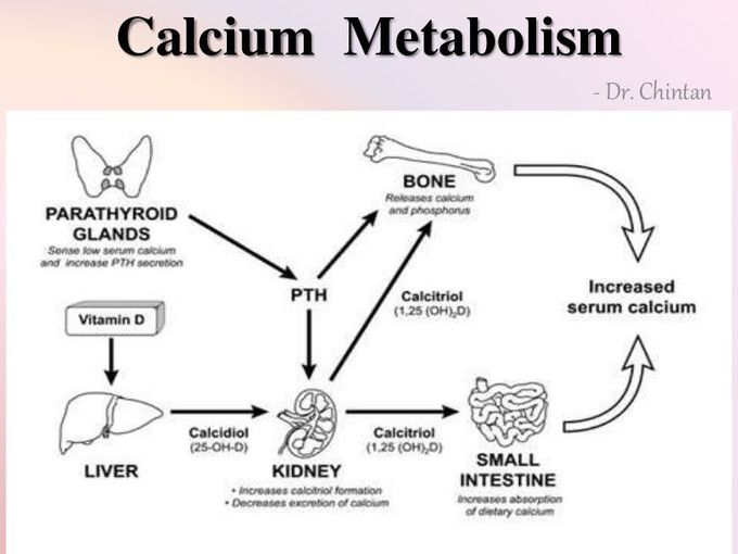 Calcium metabolism