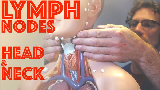 Clinical Examination of Head and Neck Lymph Nodes