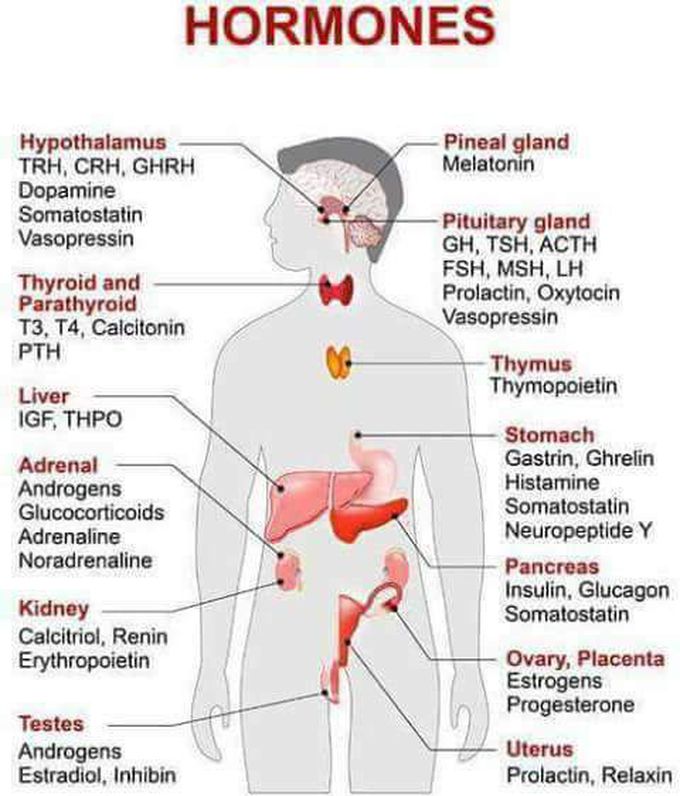 Hormones