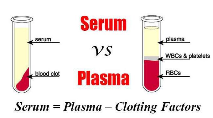 Serum VS plasma