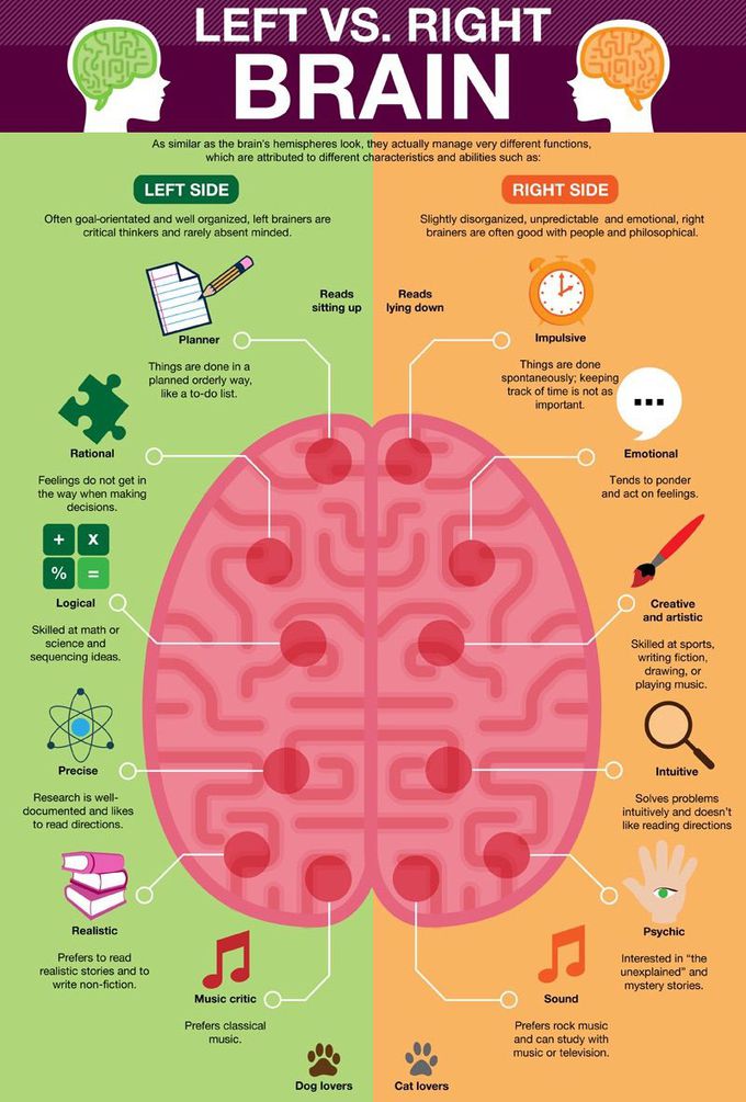 Left brain vs. Right brain