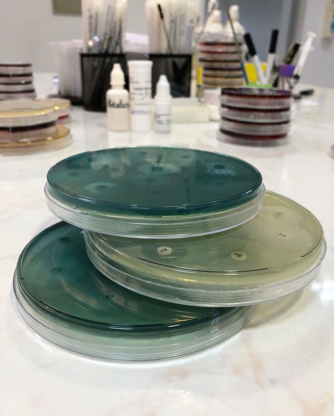 50 shades of Pseudomonas aeruginosa